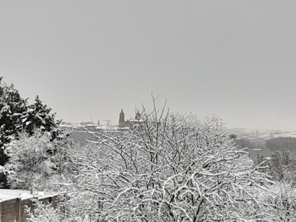 20230119 091933 - La nieve cubre Pamplona