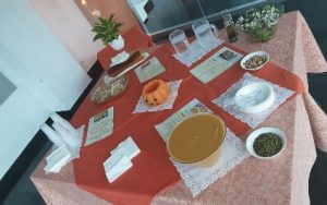3 - Proyecto Empresa Saludable: almuerzo temático de Halloween