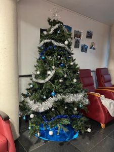 DECORACION NAVIDENA 5 - ¡La Navidad llega a Residencia Beloso Alto!