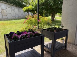 Imagen3 - Jardines terapéuticos en Residencia Beloso Alto