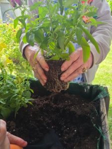 Imagen5 - Jardines terapéuticos en Residencia Beloso Alto