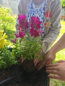 Imagen6 - Jardines terapéuticos en Residencia Beloso Alto