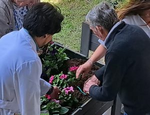 Imagen8 - Jardines terapéuticos en Residencia Beloso Alto