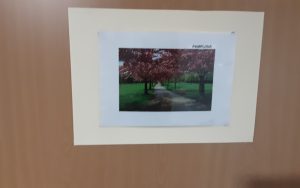 fotos raices 7 - Un puente entre el "ayer" y el "hoy"