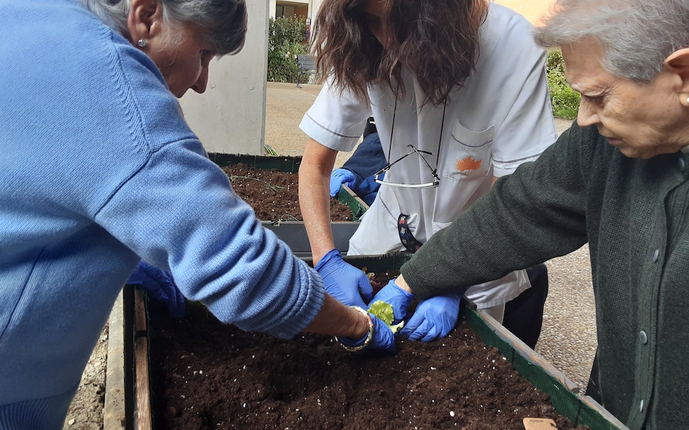 Nuestro huerto urbano ya da sus primeros frutos 1 - Residencia Beloso Alto - Pamplona residencia tercera edad actividades 2 - Nuestro huerto urbano ya da sus primeros frutos